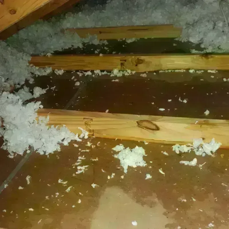 Attic Water Damage in Moravia, NY